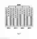 Fig. 02 - Method and device for auto recovery storage of JBOD array