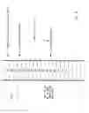 Fig. 08 - Semiconductor apparatus