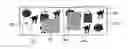 Fig. 01 - AUTOMATED CREATION OF THEME-BASED IMAGE COMPILATIONS