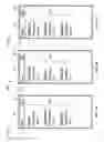 Fig. 05 - Dynamic Display of Web Content