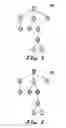 Fig. 04 - Method and/or system for tree transformation