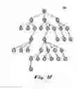 Fig. 08 - Method and/or system for tree transformation