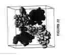 Fig. 27 - SYSTEMS AND METHODS OF SELECTING COMPOUNDS WITH REDUCED RISK OF CARDIOTOXICITY