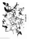 Fig. 32 - SYSTEMS AND METHODS OF SELECTING COMPOUNDS WITH REDUCED RISK OF CARDIOTOXICITY