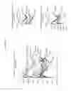Fig. 22 - Method incorporating computer-implemented steps for providing surgical parameter data
