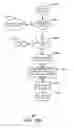 Fig. 16 - USER BASED LICENSING FOR APPLICATIONS
