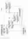 Fig. 22 - IMAGE GROUP TITLE ASSIGNING DEVICE, IMAGE GROUPING DEVICE, REPRESENTATIVE IMAGE DETERMINATION DEVICE FOR IMAGE GROUP, IMAGE DISPLAY DEVICE, CAMERA, AND IMAGE DISPLAY PROGRAM