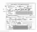 Fig. 01 - MULTIPLE SENSOR DETECTOR SYSTEMS AND DETECTION METHODS OF MAGNETIC CARDS AND DEVICES