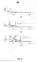 Fig. 07 - MULTIPLE SENSOR DETECTOR SYSTEMS AND DETECTION METHODS OF MAGNETIC CARDS AND DEVICES