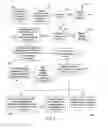 Fig. 07 - SYSTEM AND METHOD FOR SELECTIVELY PRINTING ADVERTISEMENTS