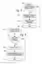 Fig. 06 - POST TRANSACTION ORDER MODIFICATION SYSTEM