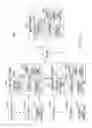 Fig. 02 - Methods and system for processing customers through a point-of-sale system having a multiple-item price scanning apparatus