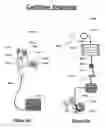 Fig. 12 - Somatic, auditory and cochlear communication system and method