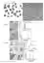 Fig. 08 - Specimen preparation for transmission electron microscopy