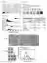 Fig. 09 - Specimen preparation for transmission electron microscopy