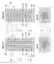 Fig. 02 - Trench multilevel contact to a 3D memory array and method of making thereof