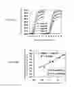 Fig. 16 - Semiconductor integrated circuit and method of producing the same