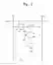 Fig. 03 - Organic light emitting diode display panel and method of manufacturing the same
