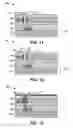 Fig. 08 - Semiconductor device and formation thereof