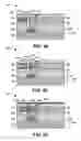 Fig. 22 - Semiconductor device and formation thereof