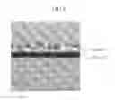 Fig. 07 - Thin film transistor and thin film transistor array panel including the same
