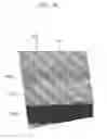 Fig. 32 - Thin film transistor and thin film transistor array panel including the same