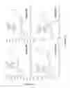Fig. 07 - BUILDING BLOCK FOR LOW BANDGAP CONJUGATED POLYMERS