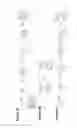 Fig. 08 - BUILDING BLOCK FOR LOW BANDGAP CONJUGATED POLYMERS