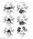 Fig. 08 - Copper complexes for optoelectronic applications