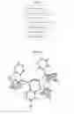 Fig. 09 - Copper complexes for optoelectronic applications