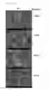 Fig. 13 - Organic light emitting diode