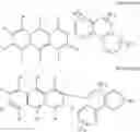 Fig. 28 - Organic light emitting diode