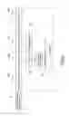 Fig. 03 - ELECTRIC TOOL