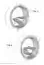 Fig. 04 - Winding for rotary electrical machine