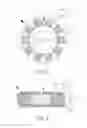 Fig. 04 - Radial-winding stator of a motor