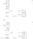 Fig. 02 - Method and apparatus for fast and accurate acquisition of crosstalk coefficients