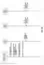 Fig. 15 - SELECTION OF COOPERATIVE STRATEGIES FOR RELAY NODES IN A WIRELESS NETWORK TO ENHANCE DATA THROUGHPUT