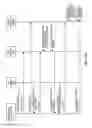 Fig. 16 - SELECTION OF COOPERATIVE STRATEGIES FOR RELAY NODES IN A WIRELESS NETWORK TO ENHANCE DATA THROUGHPUT
