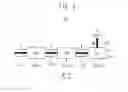Fig. 05 - Polarization-controlled optical channel and memory device including the same