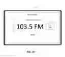 Fig. 06 - Radio station genre categorization