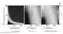 Fig. 01 - Riesz pyramids for fast phase-based video magnification