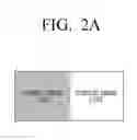 Fig. 04 - IMAGE DISPLAY APPARATUS, DRIVING METHOD THEREOF, AND IMAGE DISPLAY METHOD