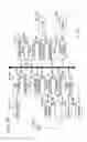 Fig. 30 - Image coding and decoding method for removal of coding distortion by comparing pixel difference values with threshold