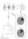 Fig. 10 - Video encoding and decoding methods based on scale and angle variation information, and video encoding and decoding apparatuses for performing the methods