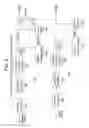 Fig. 05 - Transmission device, transmission method, reception device, and reception method