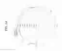 Fig. 15 - Loudspeaker horn and cabinet