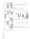 Fig. 08 - Wireless communication system, wireless communication method, mobile station device, base station device, program, and recording medium