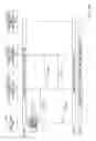 Fig. 41 - Wireless communication system, wireless communication method, mobile station device, base station device, program, and recording medium