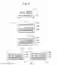 Fig. 06 - Method for manufacturing component built-in substrate