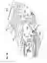 Fig. 32 - Communications bladed panel systems